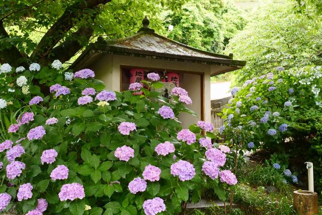 糸我西にある仁平寺（にんぺいじ）