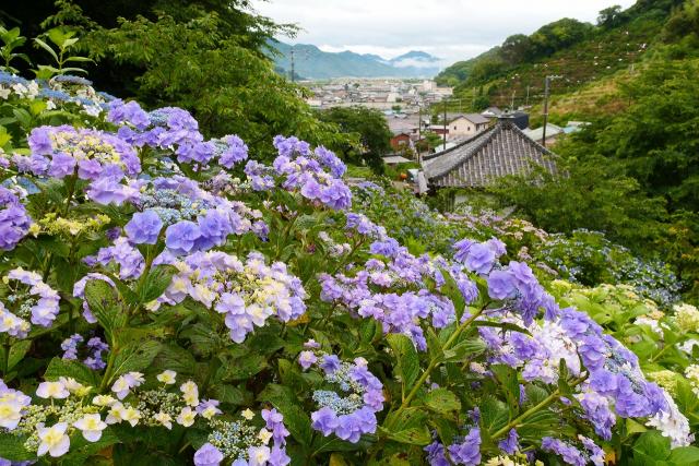 糸我西にある仁平寺（にんぺいじ）