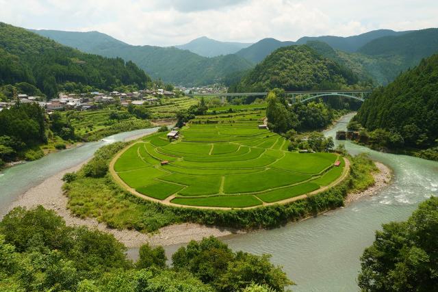 夏のあらぎ島