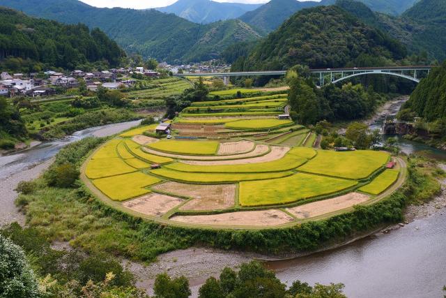 日本の棚田百選に選ばれたあらぎ島