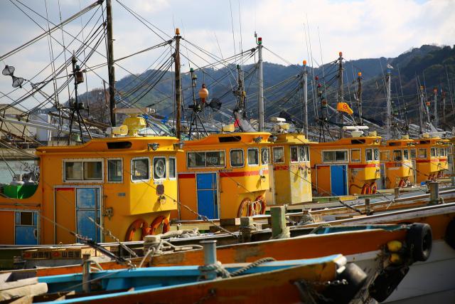 有田箕島漁港に並ぶイエロー軍団