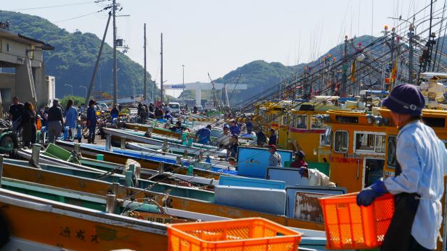 箕島漁港
