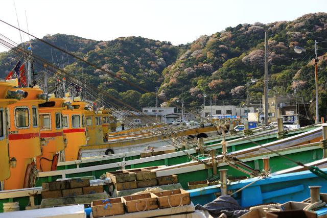 辰ヶ浜の春の風景