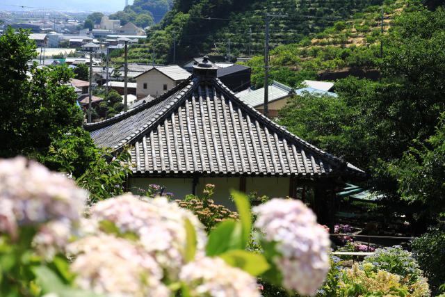 地元の人から愛される仁平さん