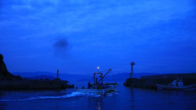逢井漁港の夜明け