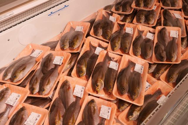 箕島漁協直営「浜のうたせ」鮮魚並んでます。