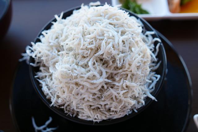 箕島漁協直営「浜のうたせ」の食堂でしらす丼。