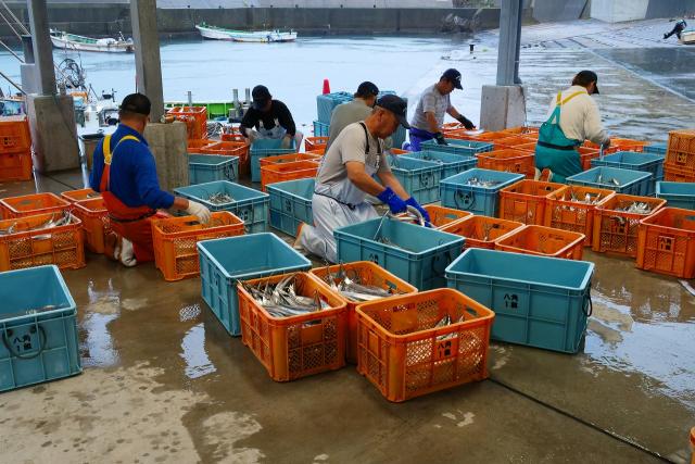 太刀魚漁獲量日本一の有田です。